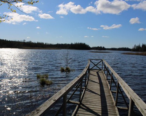 Brygga vid en sjö