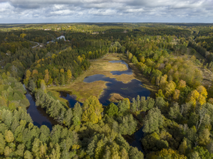 Lyckebyån_våtmark Strågeryd_foto Robert Ekholm